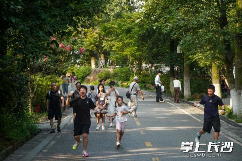 山顶慢行区游客悠闲漫步,孩童尽情嬉戏。均为 通讯员 蒋海霞 供图 山顶慢行区游客悠闲漫步,孩童尽情嬉戏。均为 通讯员 蒋海霞 供图