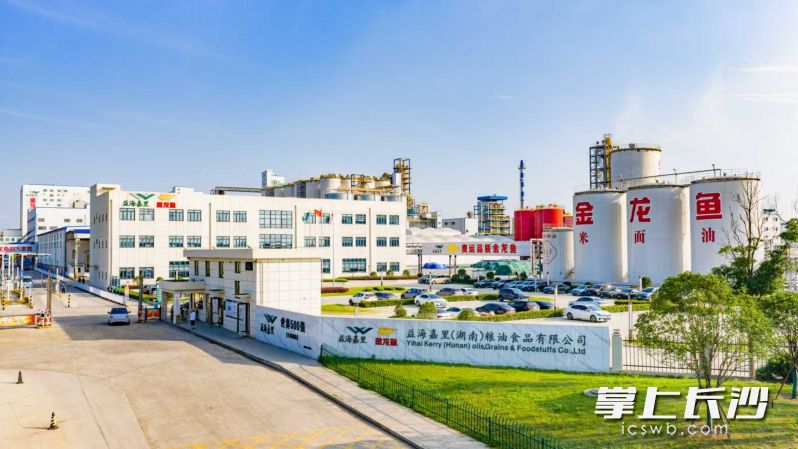 位于望城经开区铜官工业片区的益海嘉里。 长沙晚报通讯员 曾研 供图 位于望城经开区铜官工业片区的益海嘉里。 长沙晚报通讯员 曾研 供图