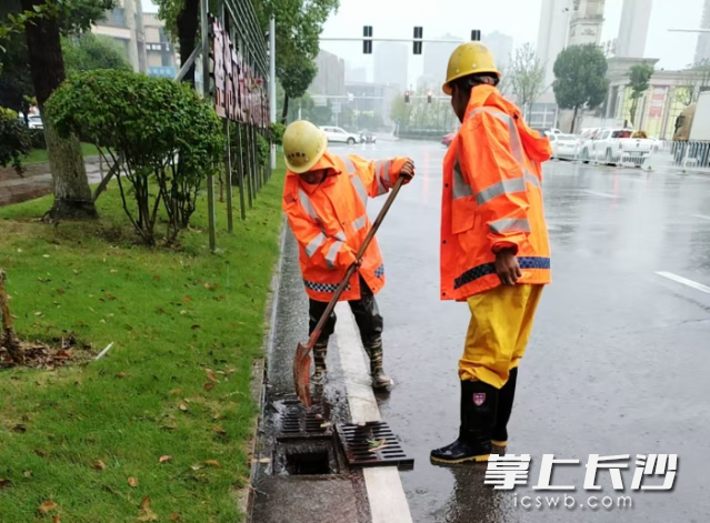 工作人员及时清理路面积水、落叶杂物,保障道路通畅。 工作人员及时清理路面积水、落叶杂物,保障道路通畅。