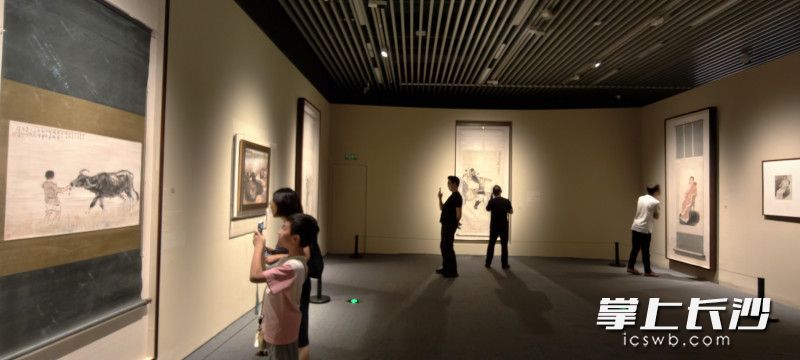 展览吸引众多年轻人观展。均为长沙晚报全媒体记者 肖舞摄