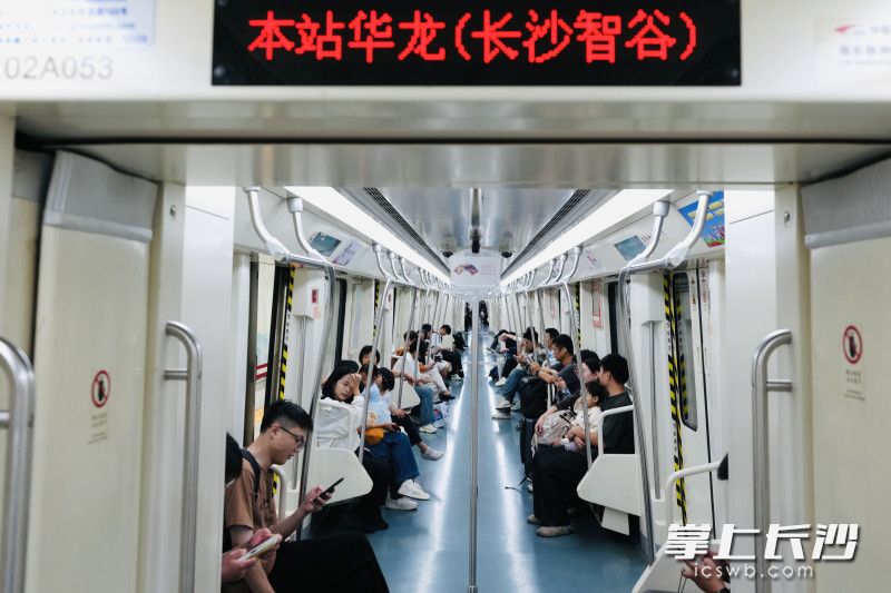 列车经过华龙(长沙智谷)站。 均为长沙晚报全媒体记者邹麟摄 列车经过华龙(长沙智谷)站。 均为长沙晚报全媒体记者邹麟摄