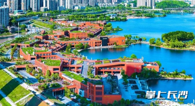 西湖科创园。均为长沙市科协供图 西湖科创园。均为长沙市科协供图