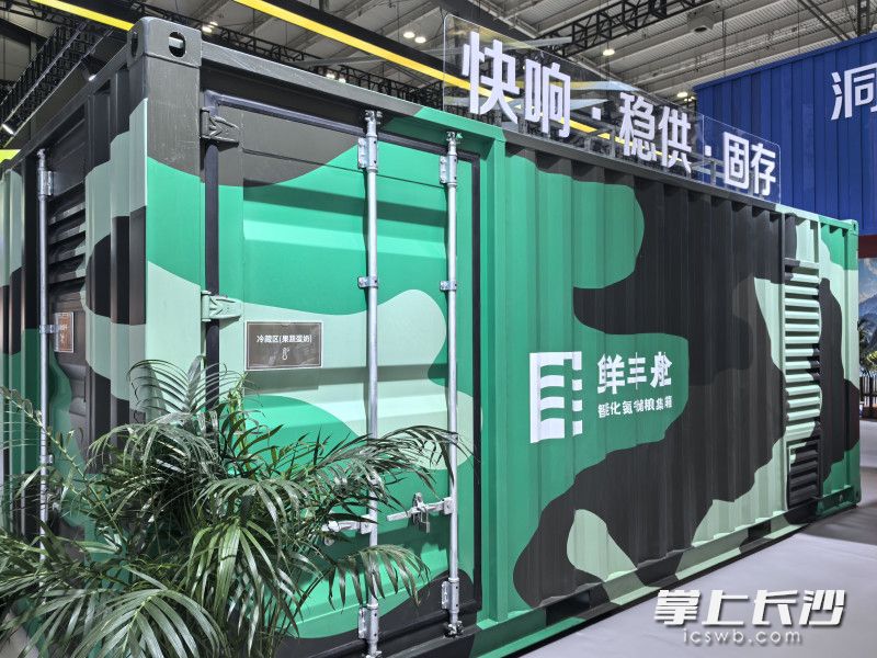 智能化氮气储粮集装箱。 智能化氮气储粮集装箱。