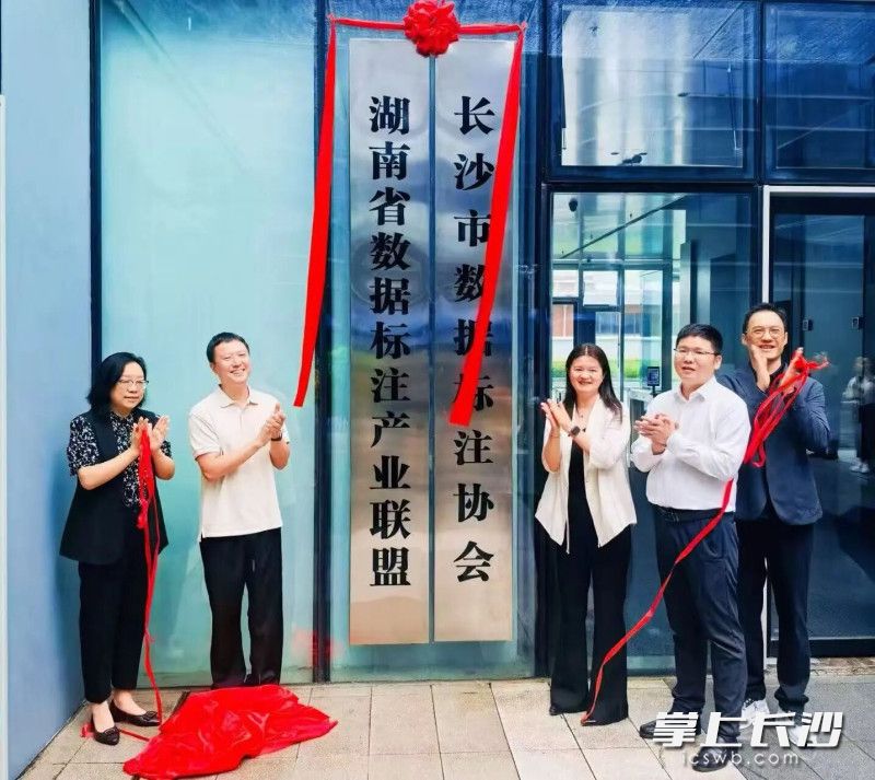长沙市数据标注协会落户天心数谷。通讯员 李奕潜供图 长沙市数据标注协会落户天心数谷。通讯员 李奕潜供图