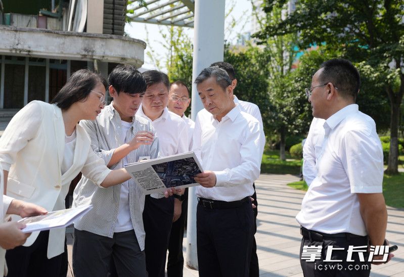 陈竞在五一绿化广场调研。