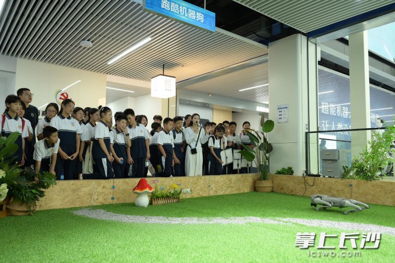 百余款机器人吸引不少学生驻足。均为主办方供图