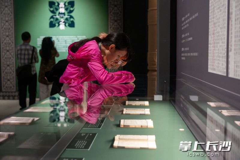 少女认真看展。