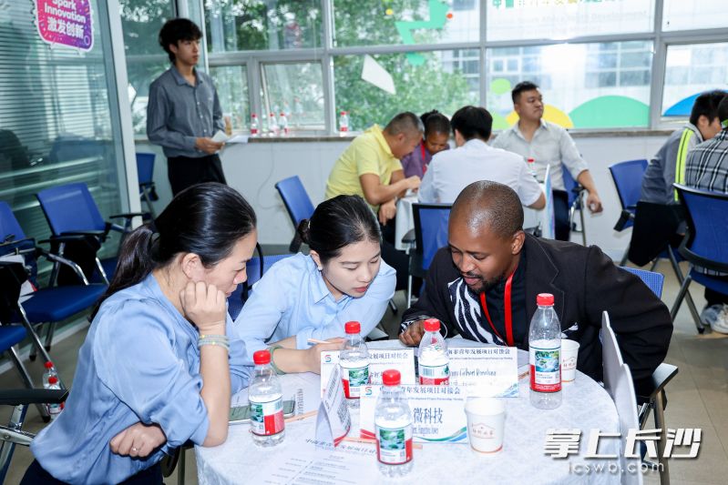 对接会现场,湘企代表和南非青年代表聊合作、谈意向。 对接会现场,湘企代表和南非青年代表聊合作、谈意向。