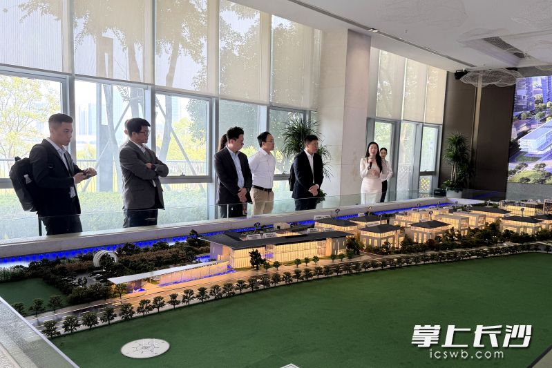 金融机构代表调研湖南金融中心，并参观湘江基金小镇。
