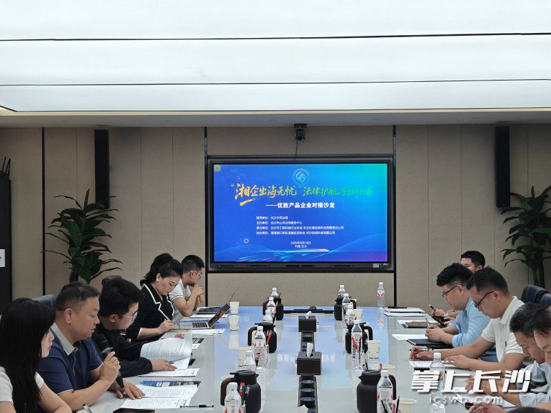 对接沙龙现场。主办方供图