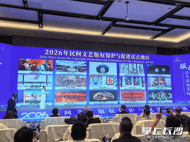 2026民间文艺版权保护与促进国际研讨会现场。 通讯员供图