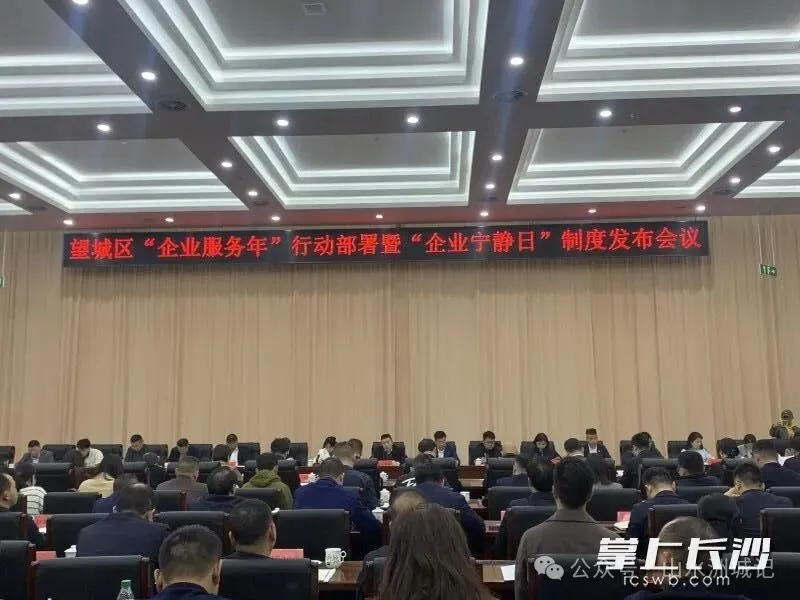 望城区召开“企业服务年”行动部署暨“企业宁静日”制度发布会议。邓艳红 摄