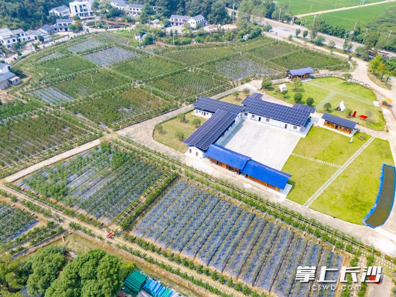 邓湘君的果园提供集采摘、餐饮、研学于一体的复合休闲体验。 邓湘君的果园提供集采摘、餐饮、研学于一体的复合休闲体验。