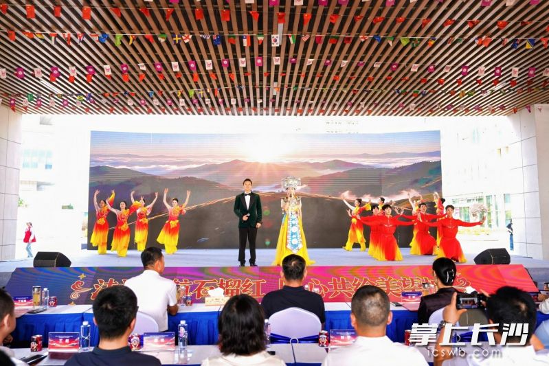 活动现场的文艺表演。 长沙晚报通讯员 任颖 供图