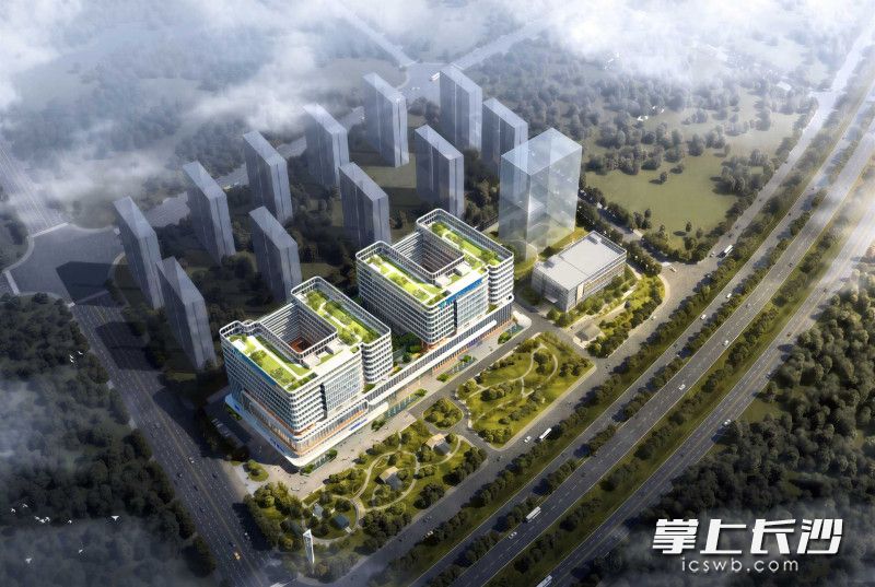 项目效果图。 项目效果图。