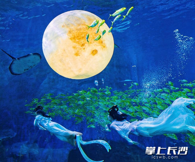 长沙湘江海洋王国千灯节限定开启，巨型水下月亮还原“月宫奇境”。通讯员 吴劲蕾 供图