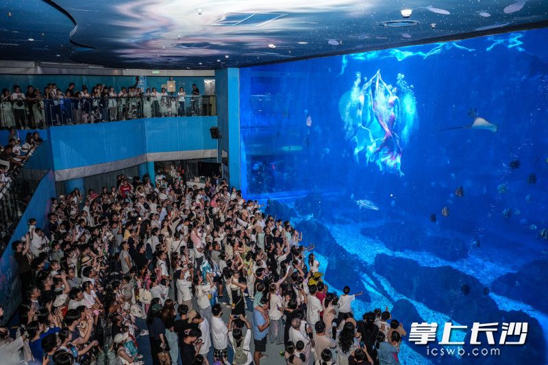 长沙湘江海洋王国里，“美人鱼”换上主题装束与千尾海鱼共游，上演水下嫦娥奔月主题演出。长沙晚报全媒体记者 周数邑 通讯员 罗斌 摄