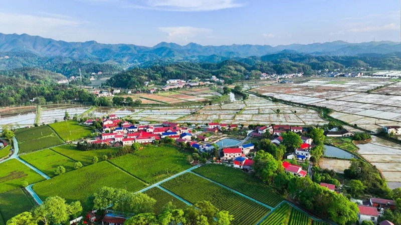 长沙县春华风景如画。刘松柏 摄