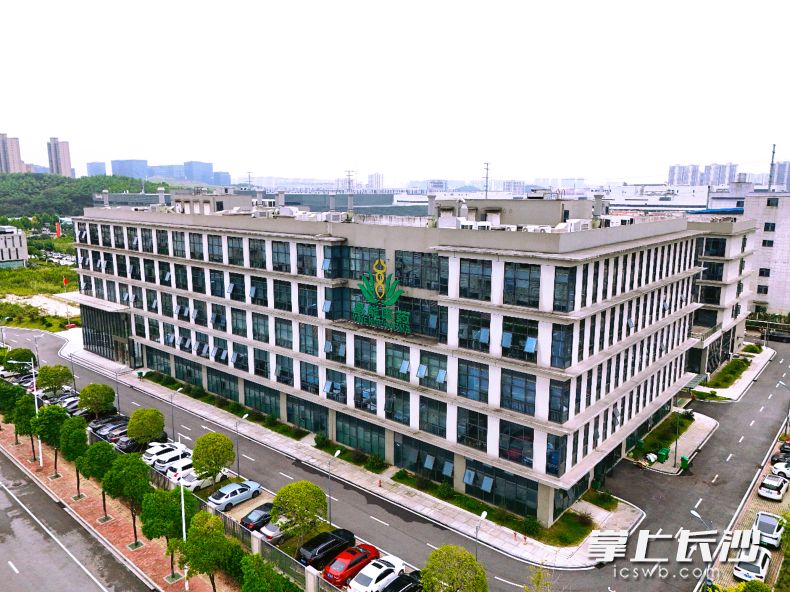 易能医药大楼外部航拍。均为 湘江早报全媒体记者 范龙贵 摄