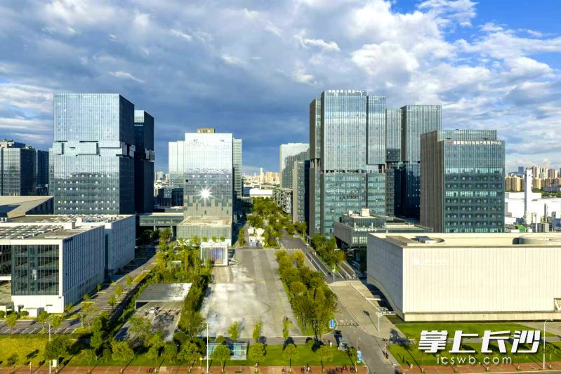 近日，工业和信息化部公示的首批高标准数字园区建设对象名单结束公示，长沙高新区成功入选。湘江早报全媒体记者 罗钟杰 摄