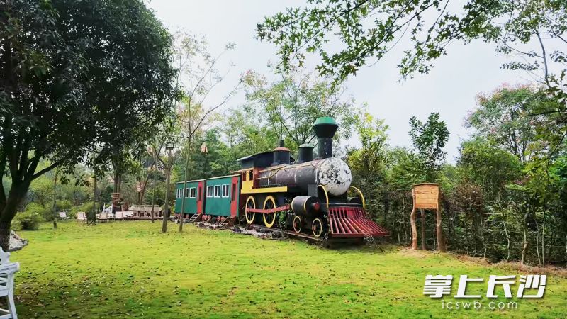 废弃旧火车也成了园里的一道风景。