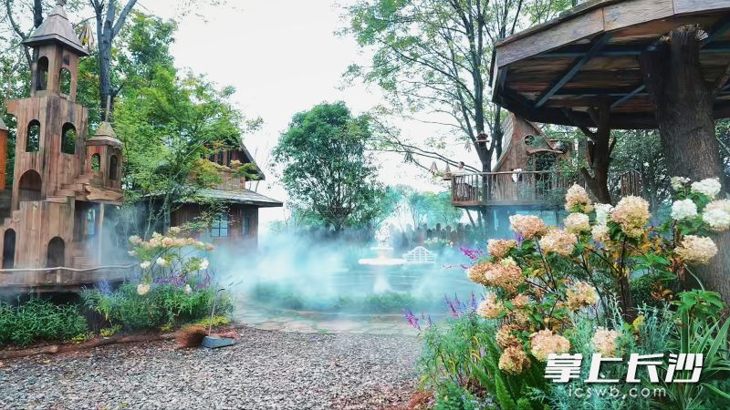 30亩林地之中，20座手工打造的原木童话木屋散落在绿荫之下。均为全媒体记者 陈飞 摄