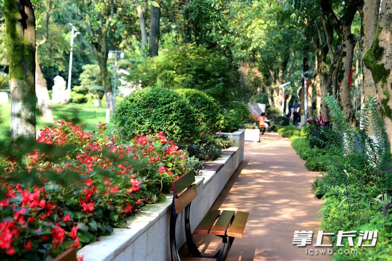 初心路从细微处提升整洁度与整体观感。