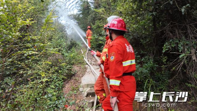 连日来，湘江新区各街镇紧抓森林防火关键期，组织半开展森林防灭火应急演练。