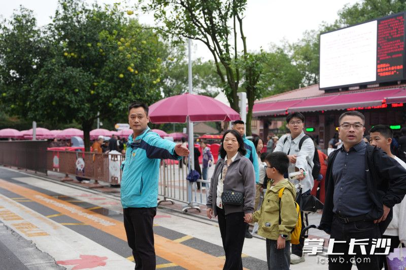 城发橘子洲观光小火车工作人员正在引导游客过马路。