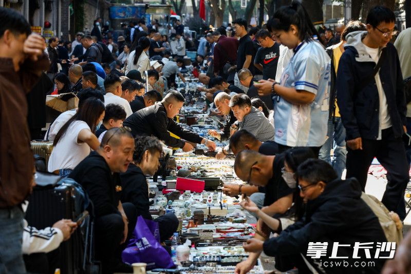 大麓珍宝古玩城秋季古玩杂项集市开幕。 均为长沙晚报全媒体记者董阳摄