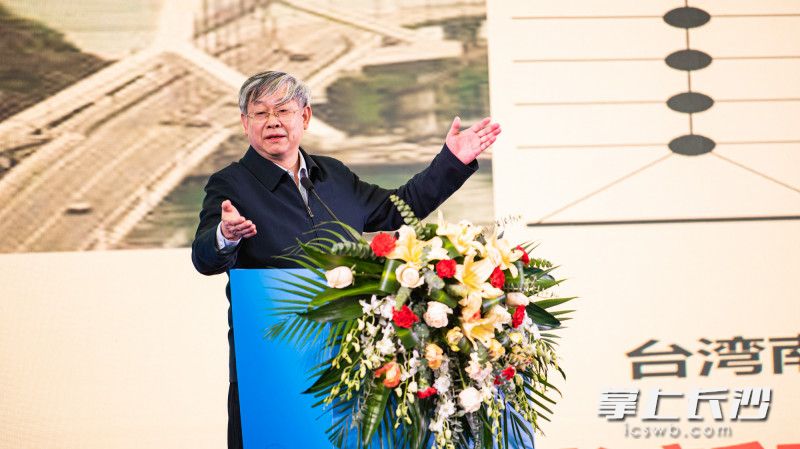 中国工程院院士、清华大学聂建国在作报告。