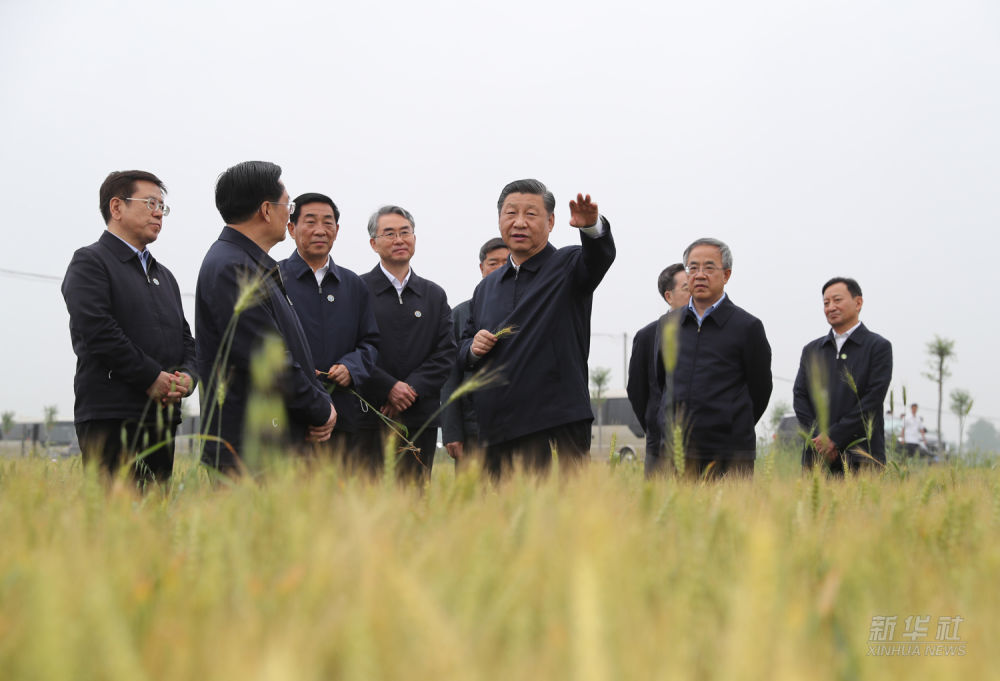 △2021年5月14日上午，习近平在河南省南阳市主持召开推进南水北调后续工程高质量发展座谈会并发表重要讲话。这是座谈会前，习近平于13日在考察途中临时下车，走进一处麦田察看小麦长势。