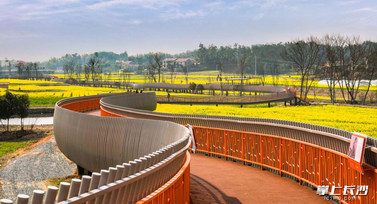 忠诚之路。 忠诚之路。
